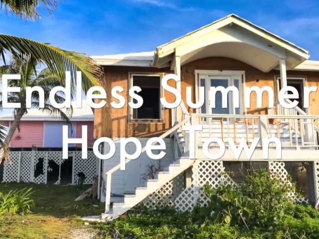 Endless Summer